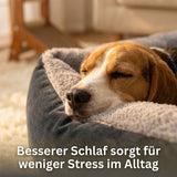 Narona Basic-Hundebett - Ein besonderer Rückzungsort für Deinen Vierbeiner