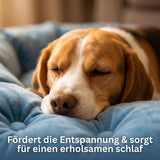 Narona Lamara - Entspannungshundekissen für aktive Hunde
