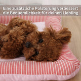 Narona Coldy – Weil dein Hund an heißen Tagen genauso Erholung verdient wie du